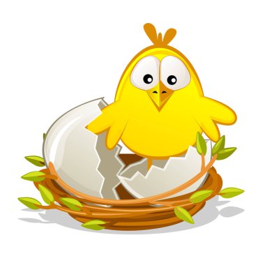 Isolated Newborn chicken in nest, Easter object