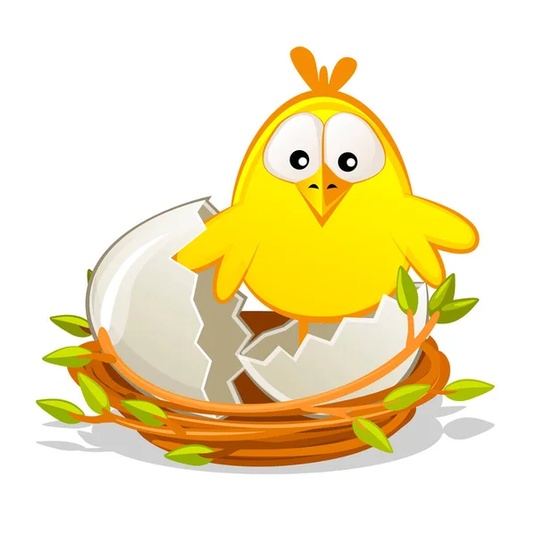 Isolated Newborn Chicken Nest Easter Object — Stock Photo, Image