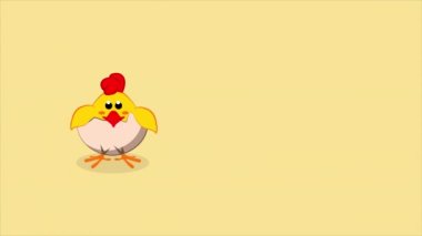Çatlamış yumurtadan fırlayan tavuk bebek. Şirin piliç..