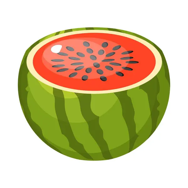 Die Hälfte Der Wassermelone Sommeridylle — Stockfoto