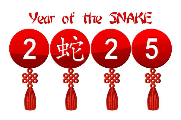 Year Snake 2025 Greeting Card Celtic Weave Knot Talisman Chinese — Stock Vector