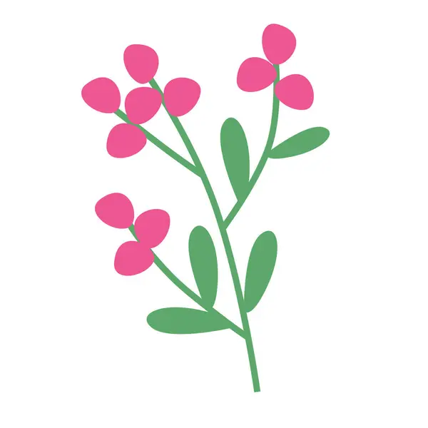 ดอกไม ใบไม กราฟ กไอคอนแบน ธรรมชาต ของพ กษณ ดอกคาโมไมล — ภาพเวกเตอร์สต็อก