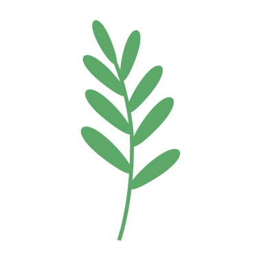 Bahar yaprağı, şeffaf arkaplanda Düz Simge