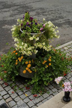 Parke taşı kaldırımlara yerleştirilmiş renkli çiçekler, doğayı, dekorasyonu, bahçe düzenini ve açık hava güzelliğini sembolize ediyor..