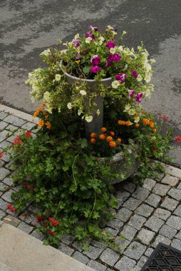 Parke taşı kaldırımlara yerleştirilmiş renkli çiçekler, doğayı, dekorasyonu, bahçe düzenini ve açık hava güzelliğini sembolize ediyor..
