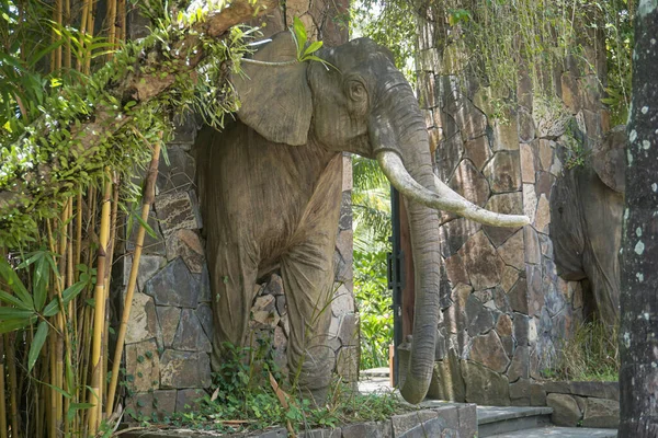 Einer Der Asiatischen Elefanten Die Lombok Wildlife Park Gefunden Wurden — Stockfoto