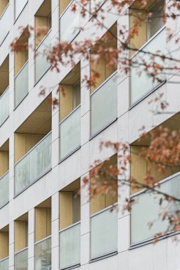 Şehir merkezindeki çoklu aile binasının detayları. Çok sayıda kat var. Balkonlar ve loggialar. Şehirde gün ışığı