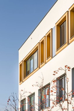 Objenin renkli yüzü, bina. Dikey panellerin malzemesi. Pencere kaplaması.