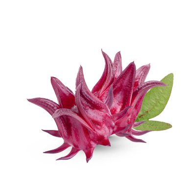 Beyaz arka planda yaprakları olan taze roselle meyveleri.