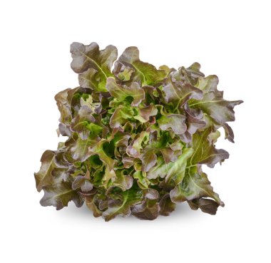 Beyaz arkaplanda taze marul izole edildi