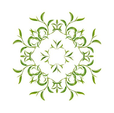 Beyaz arkaplanda sanat desenli yeşil çay yaprakları