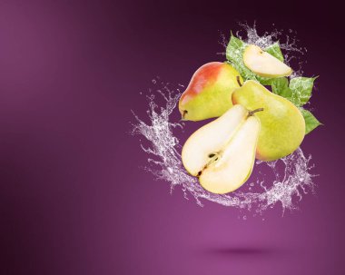 Taze armutların üzerine su sıçrar ve mor arka planda yapraklar ayrılır.. 