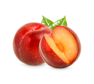 Şeffaf arkaplanda yaprakları olan taze kırmızı erik (.PNG)