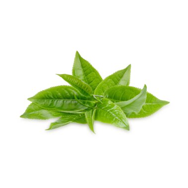 Beyaz arkaplanda yeşil çay yaprakları