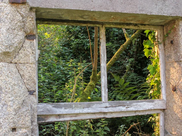 Ablak Egy Elhagyatott Ház Természet Mögötte — Stock Fotó
