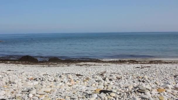 Beach Full Stones Fazouro Galicia — Stok video