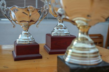 Hayatta kazandığım ödüllerden bazıları ve her gün çok çalışırsam daha fazlası gelecek.