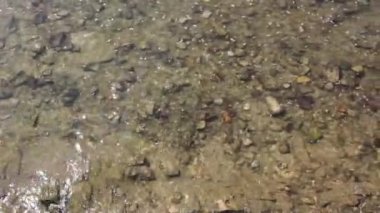 Rahatlamak için nehir suyuna bakıyorum.