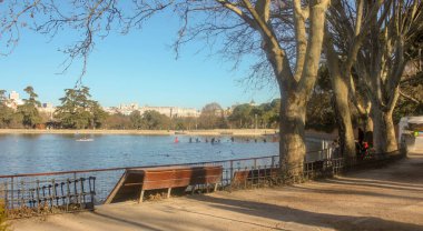 Madrid 'deki Casa de Campo' da bazı insanlar gölde kürek çekiyor.