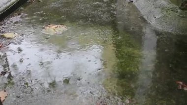 Yağmurlu bir günde su birikintilerine düşen yağmur damlaları