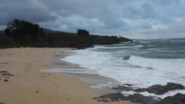 Beach Cantabrian Coast Windy Day — Stock Video