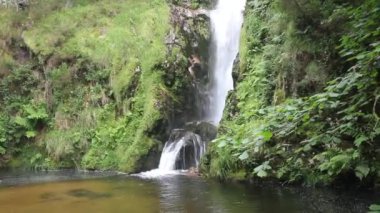 İspanya, Viveiro 'da doğanın ortasına düşer.