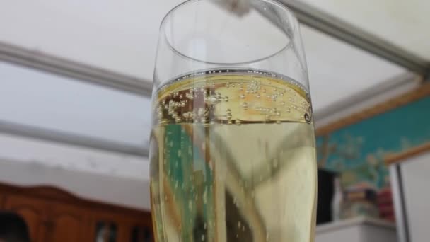 Belletjes Een Kopje Champagne — Stockvideo