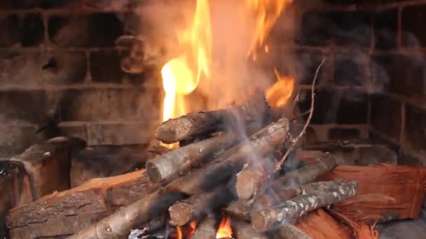 Ogień Dla Pieczonego Mięsa Jest Gotowy — Wideo stockowe