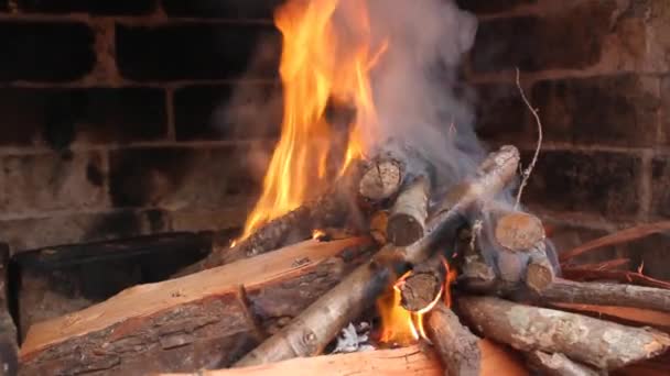 Ogień Jest Rozpalony Dla Mięsa — Wideo stockowe