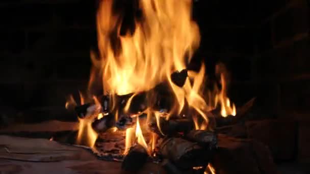 火は肉の準備ができています — ストック動画