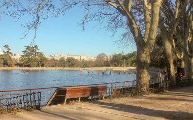 İspanya 'nın başkenti Madrid' deki Casa de Campo gölünde kürek çeken insanlar.