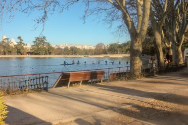 Madrid 'deki Casa de Campo gölünde kürek çeken insanlar