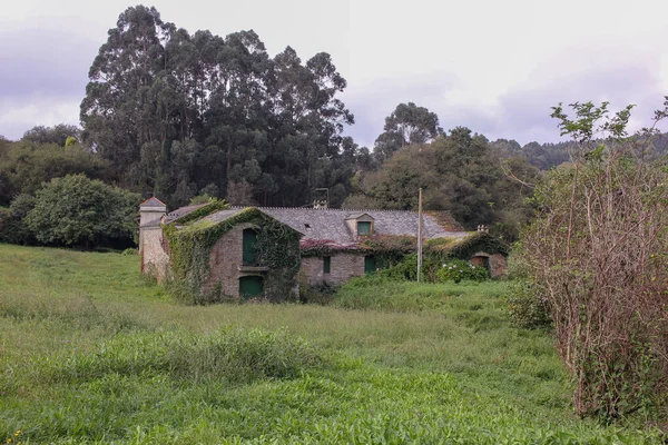 Abandoned House Galicia Spain Middle Nature — стоковое фото