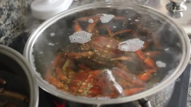 Evde Yengeç Pişirmek — Stok video