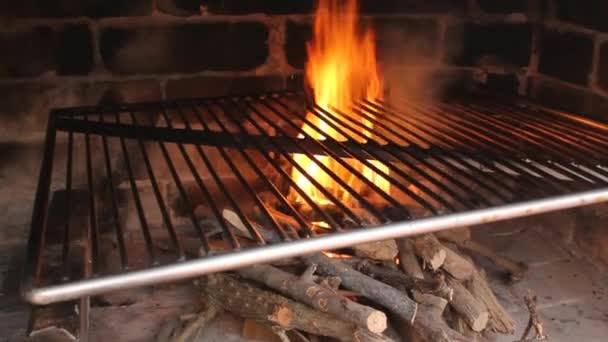 Wir Machen Das Feuer Für Das Fleisch — Stockvideo
