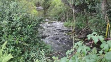 Galiçya 'da bir dere