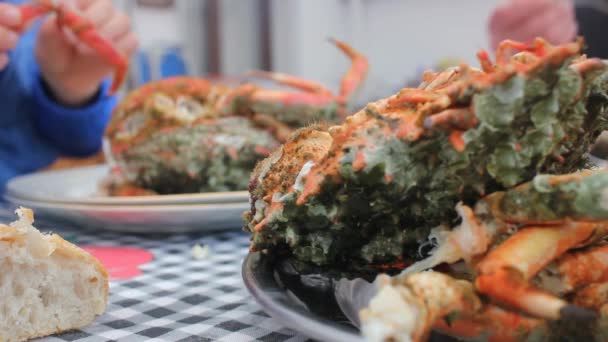 Thuis Krabben Eten Een Genot — Stockvideo