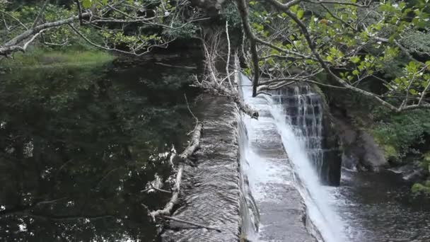 Небольшой Водопад Реке Саркаделос — стоковое видео