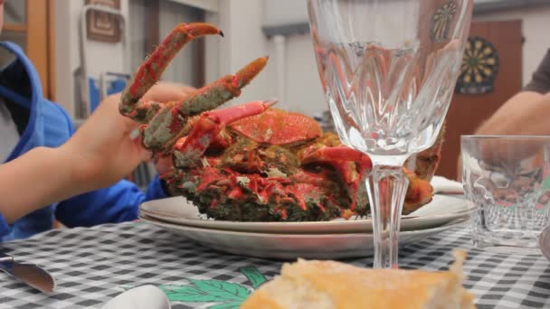 小男孩吃螃蟹 — 图库视频影像