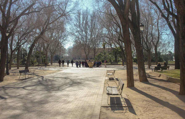 Parco Madrid Una Giornata Sole Inverno — Foto Stock