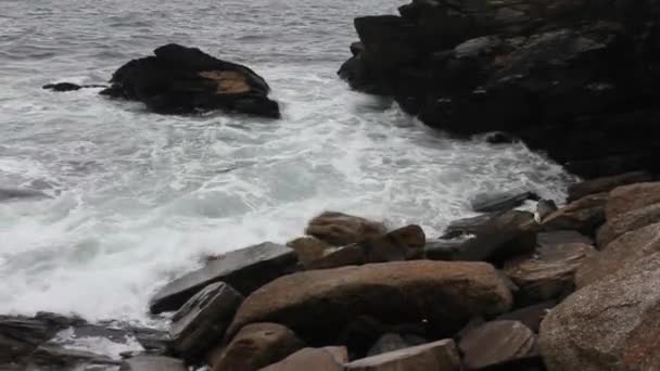 Rocks Cantabrian Coast — Stock Video