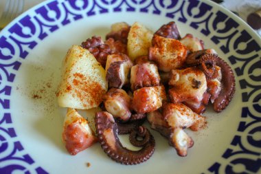 Bir tabak zeytinyağı ve biberli ahtapot. Galiçya, İspanya 'da geleneksel bir yemek.