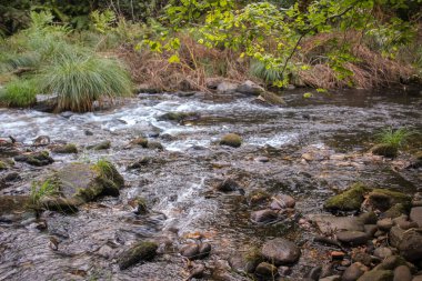 Nehir doğanın ortasında Viveiro, İspanya