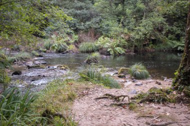 Nehir Souto da Retorta, Viveiro, Galiçya, İspanya