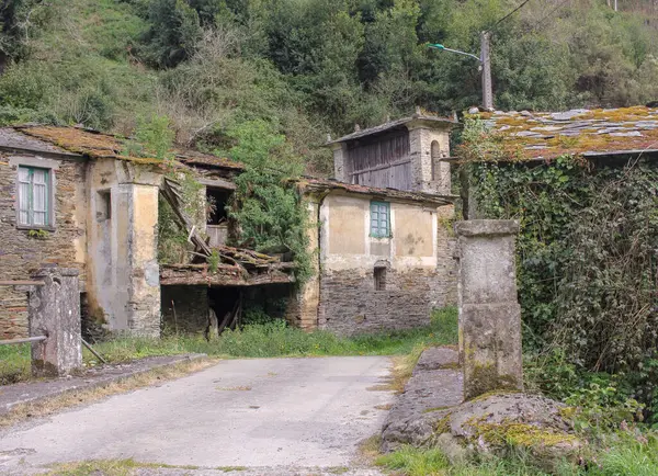 Bir grup eski, terk edilmiş ev.