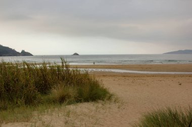 Yazın son günlerinde Cantabrian Denizi 'ndeki kumsalda