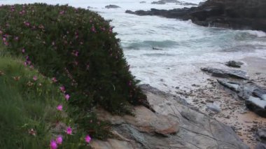 Küçük dalgalar Cantabrian sahilinde küçük bir sahile ulaşıyor.