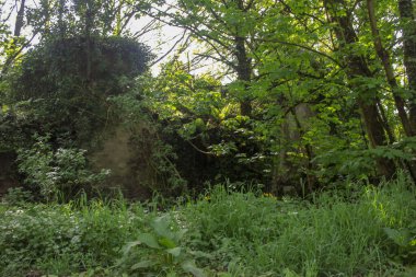 Galiçya, İspanya 'da terk edilmiş bir ev.