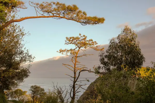 İspanya, Asturias 'taki Sessizlik Plajı' nın güzelliği.