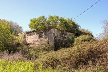 İspanyol kırsalında içinde ağaçlar olan eski, terk edilmiş bir ev.